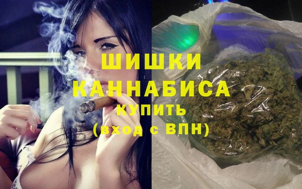 гидра Вяземский